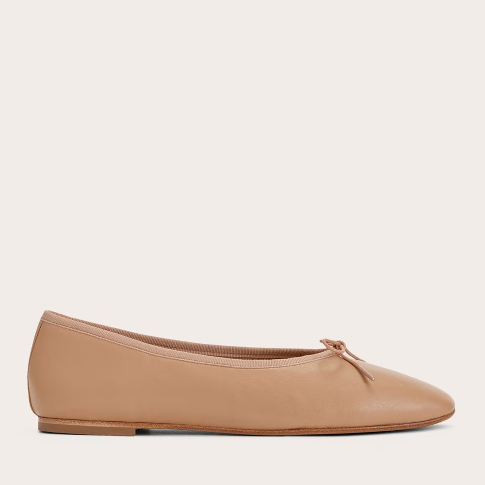 Everlane Day Ballet Flats
